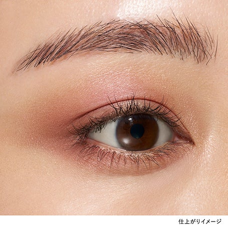 【限定】LUNASOL アイカラーレーションNセット 06 詳細画像 19枚中3枚目