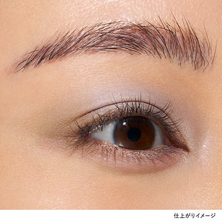 アイカラーレーションN EX06 詳細画像 10枚中3枚目