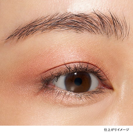 アイカラーレーションN EX07 詳細画像 10枚中3枚目