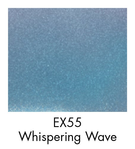 EX55