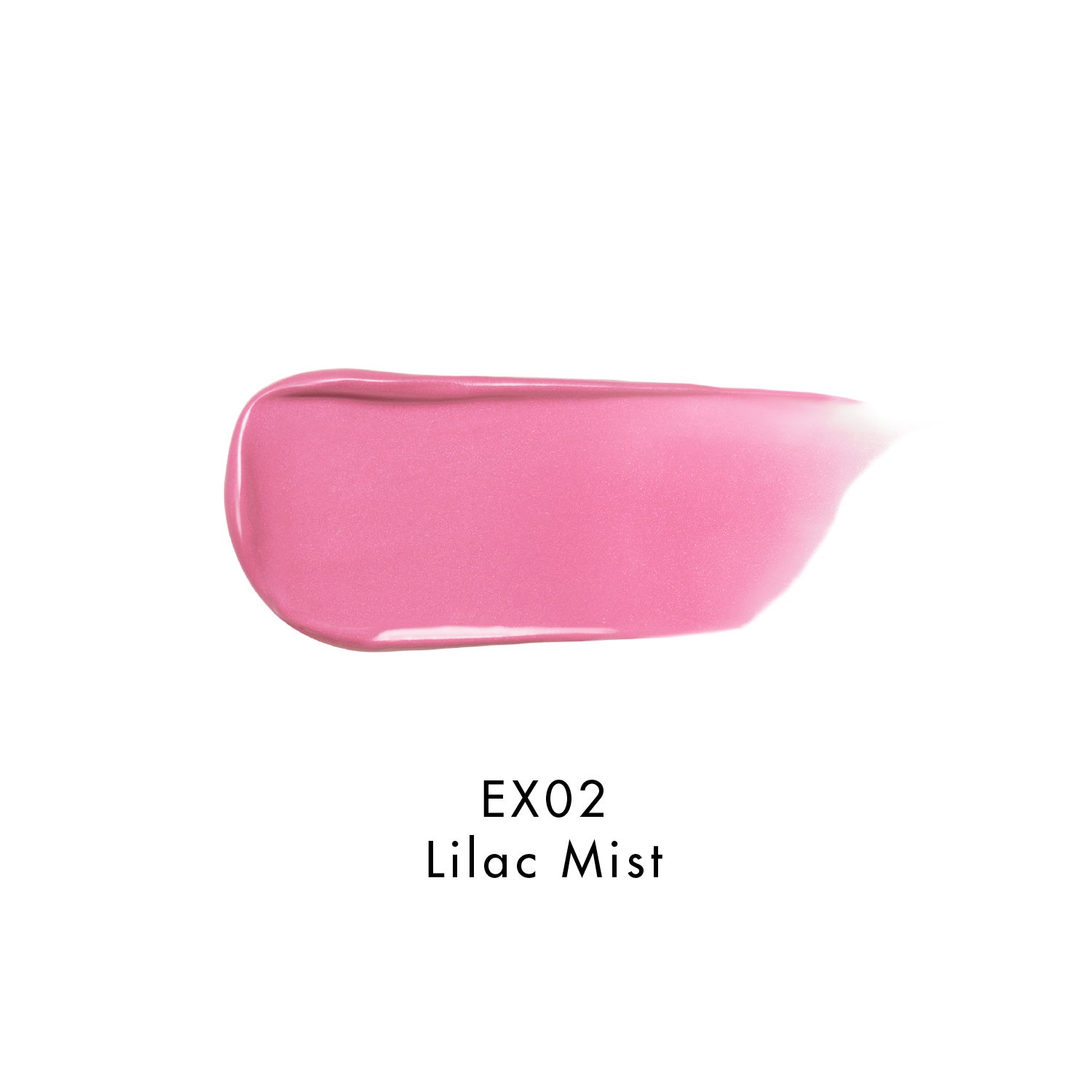 ブラッシュスティック EX02 詳細画像 5枚中3枚目