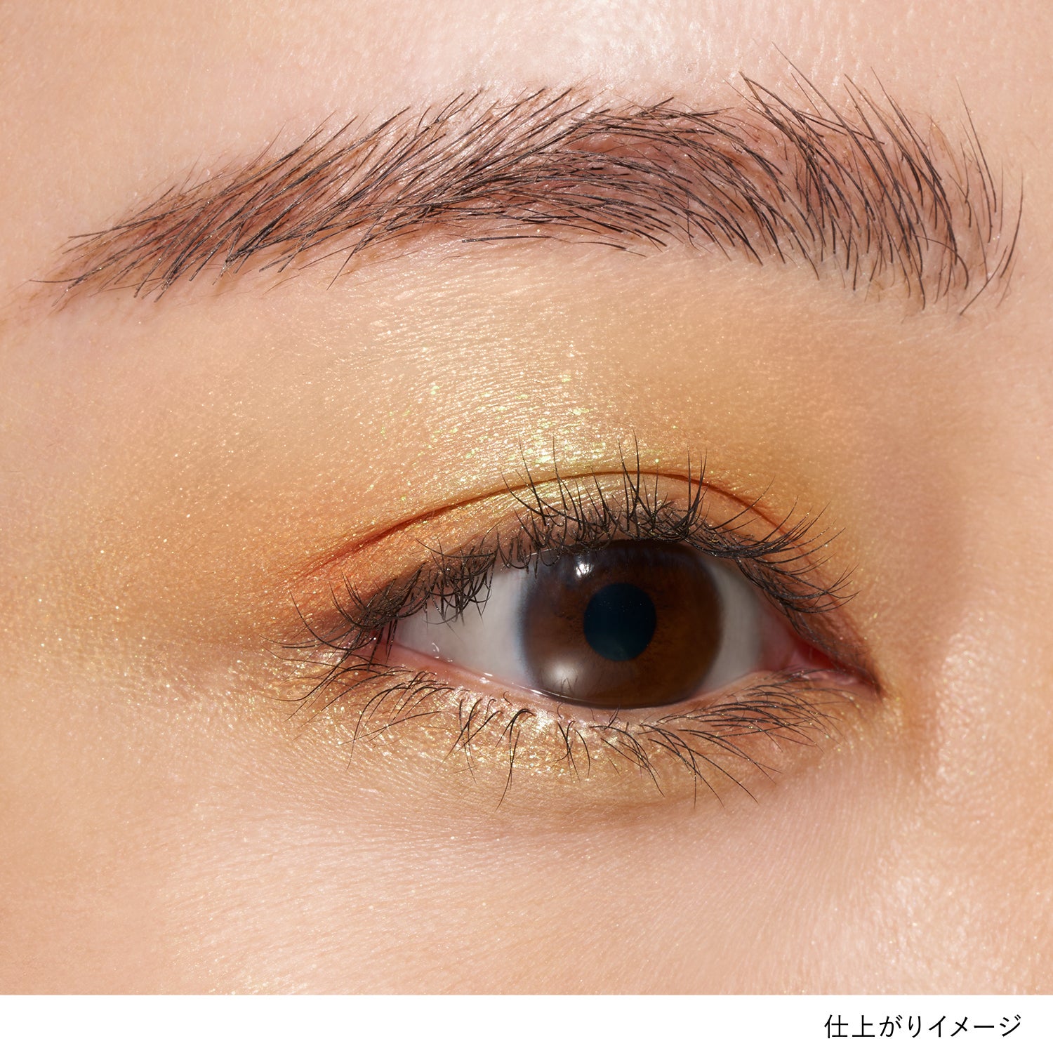 モノアイカラーレーション EX06J 詳細画像 7枚中3枚目