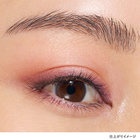 アイカラーレーションN 08 詳細画像 10枚中3枚目