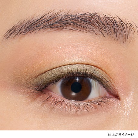 アイカラーレーションN EX10 詳細画像 10枚中3枚目