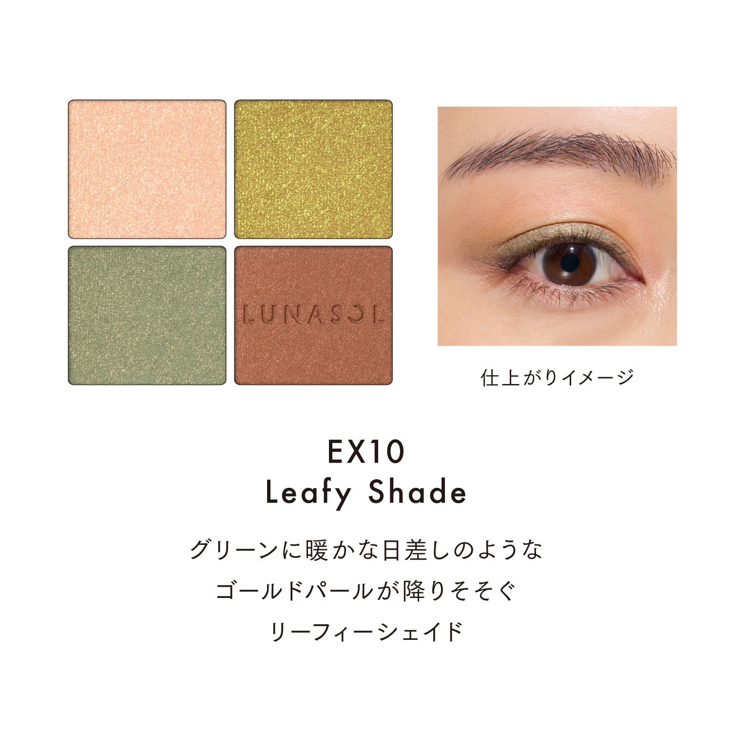 アイカラーレーションN EX10 詳細画像 10枚中6枚目