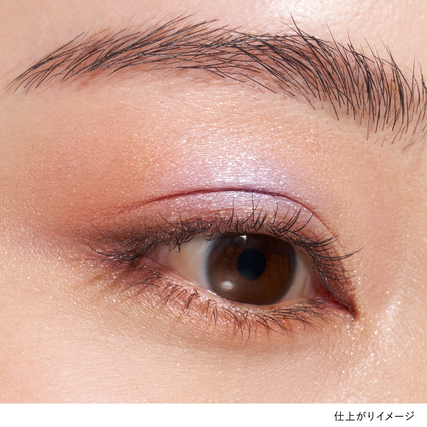 アイカラーレーションN EX12 詳細画像 10枚中3枚目