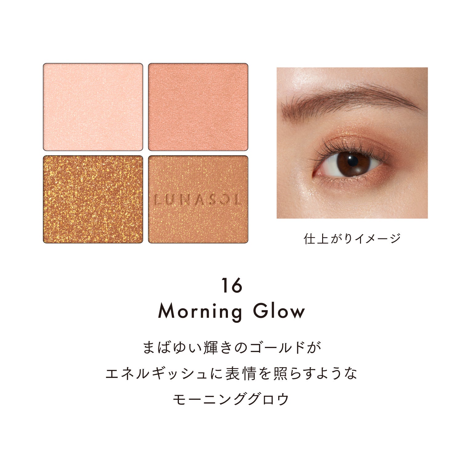 アイカラーレーションN 16 詳細画像 8枚中4枚目