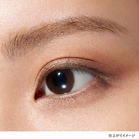 【限定】LUNASOL アイカラーレーションNセット 17 詳細画像 19枚中3枚目