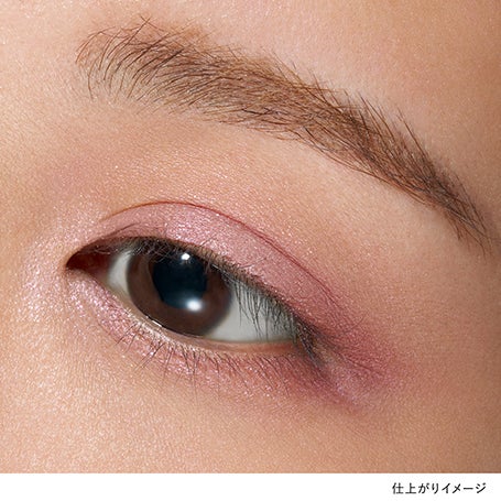 アイカラーレーションN EX14 詳細画像 10枚中3枚目