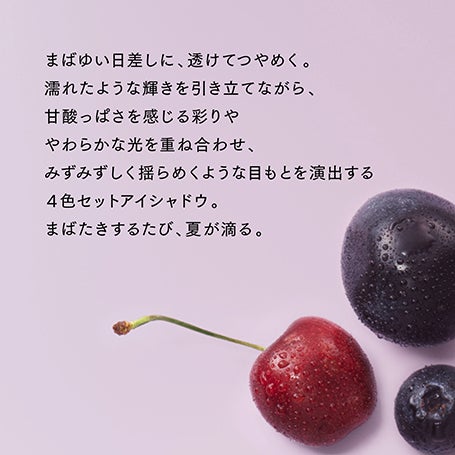 アイカラーレーションN 21 詳細画像 10枚中5枚目