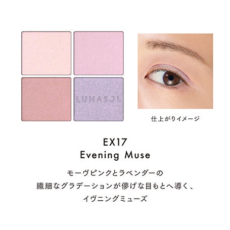 アイカラーレーションN EX17 詳細画像 10枚中6枚目