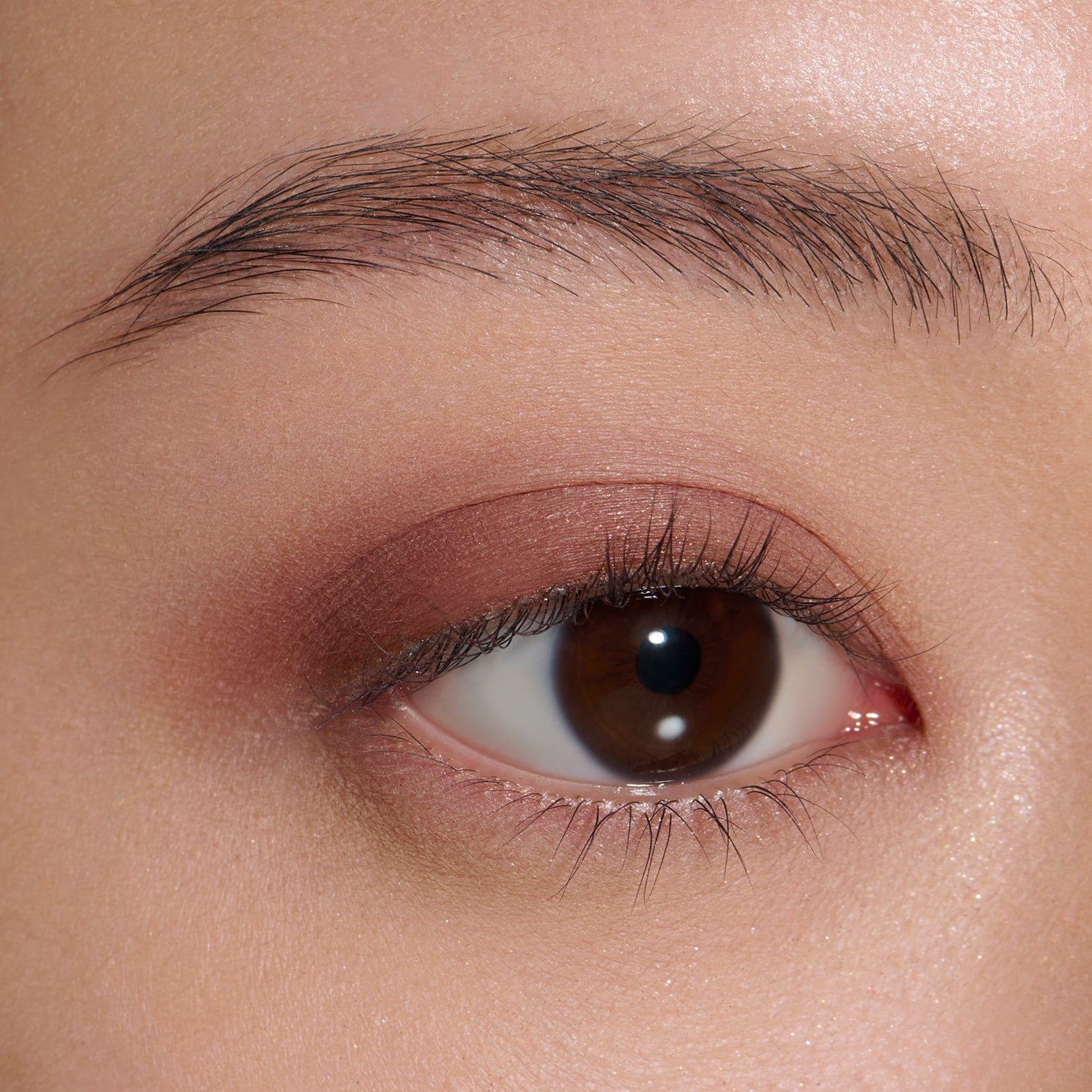 モノアイカラーレーション 08 詳細画像 8枚中3枚目