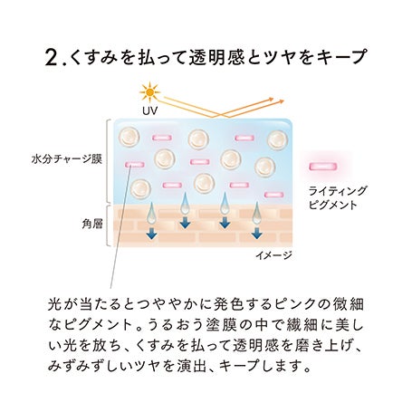 グロウデイセラムUV 詳細画像 10枚中5枚目