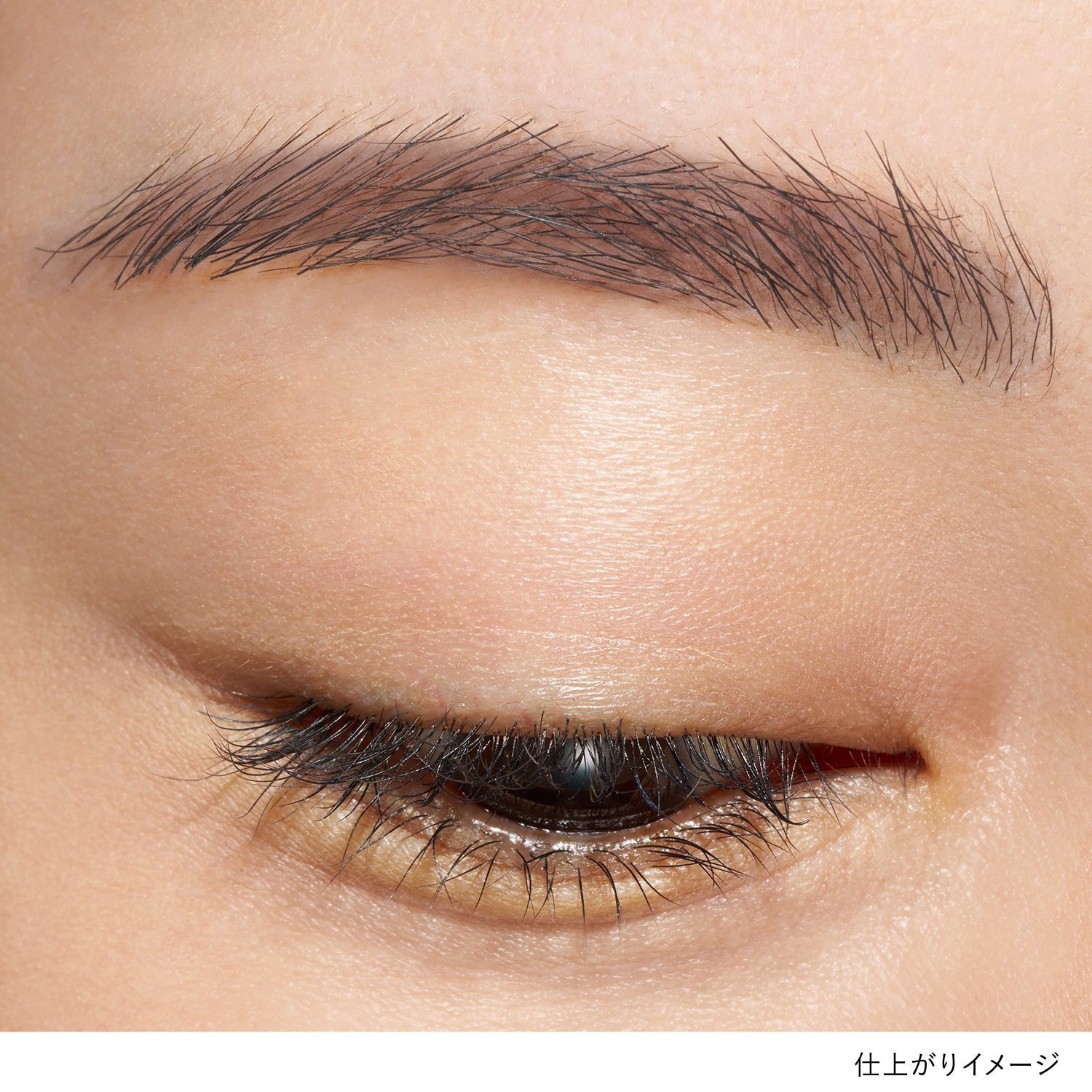 【mi-mollet×LUNASOL】ヌーディ眉セット2 (薄め×細め眉さん向け) 詳細画像 17枚中4枚目