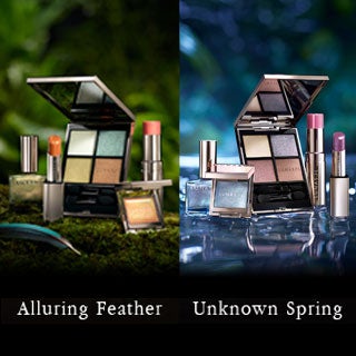 Rainforest Sanctuary