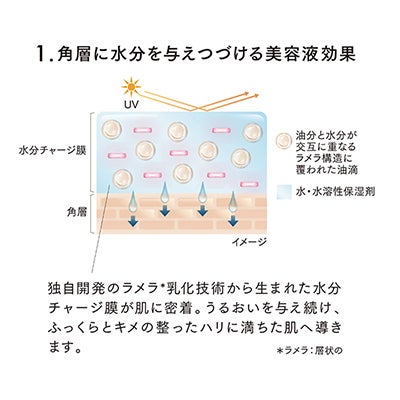ルナソルのベースメイクアップアイテムのご紹介
