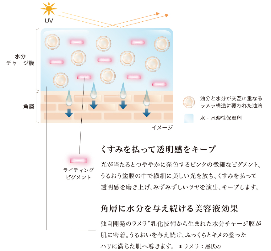 角層に水分を与えつづける美容液効果 独自開発のラメラ乳化技術から生まれた水分チャージ膜が肌に密着。うるおいを与えつづけ、ふっくらとキメの整ったハリに満ちた肌へ導きます。 くすみを払って透明感とツヤをキープ 光が当たるとつややかに発色するピンクの微細なピグメント。うるおう塗膜の中で繊細に美しい光を放ち、くすみを払って透明感を磨き上げ、みずみずしいツヤを演出、キープします。