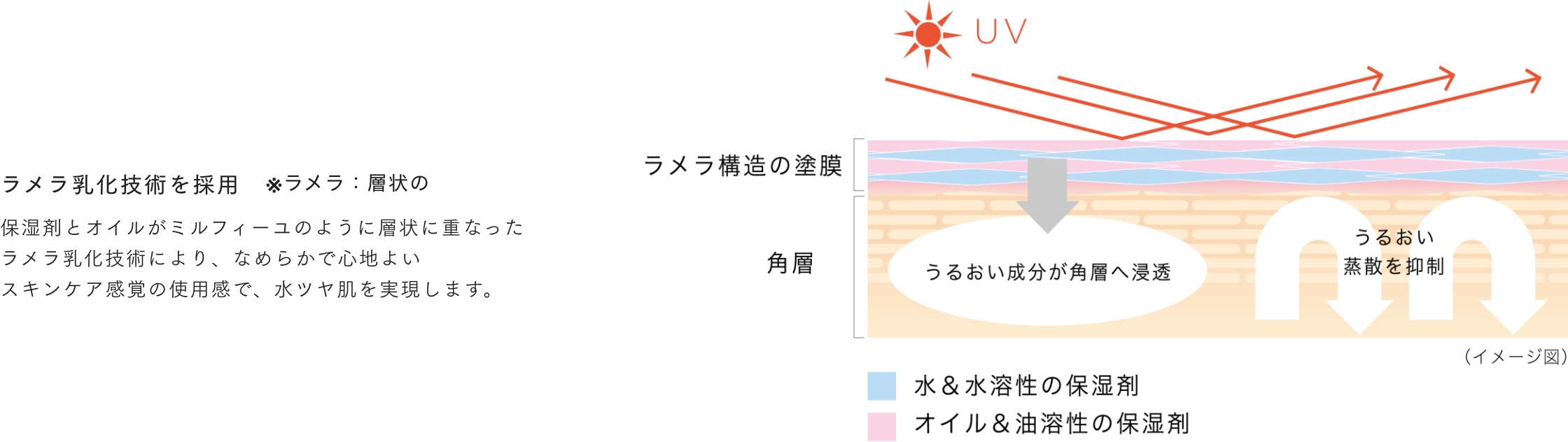 ラメラ乳化技術を採用 保湿剤とオイルがミルフィーユのように層状に重なったラメラ乳化技術により、なめらかで心地よいスキンケア感覚の使用感で、水ツヤ肌を実現します。