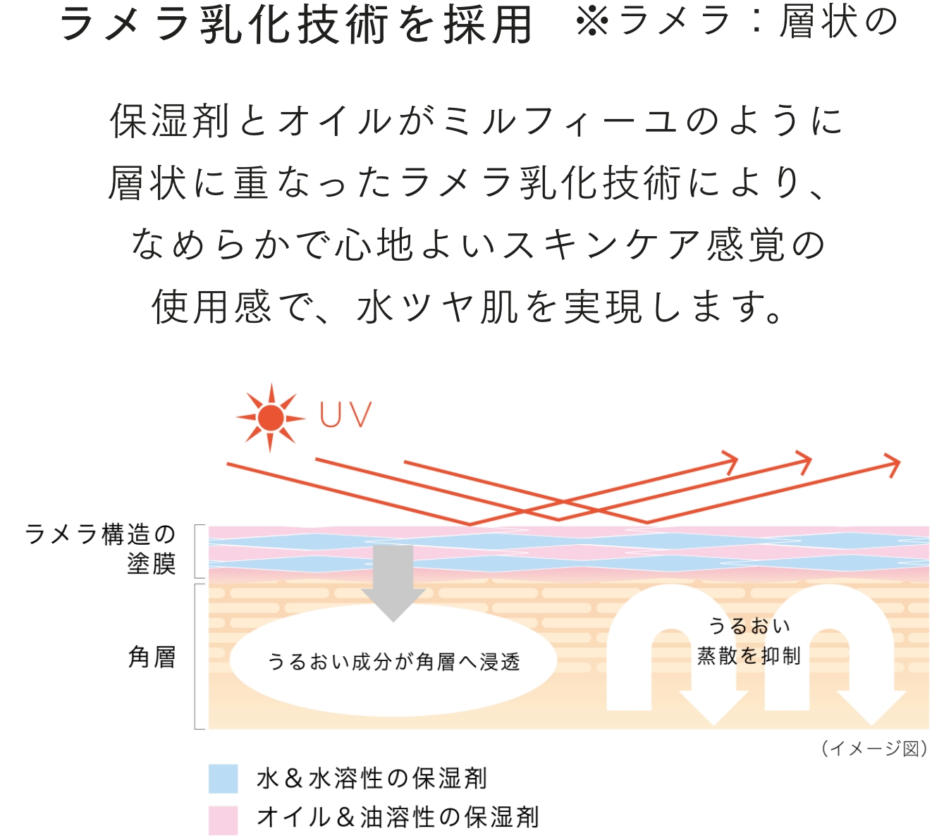 ラメラ乳化技術を採用 保湿剤とオイルがミルフィーユのように層状に重なったラメラ乳化技術により、なめらかで心地よいスキンケア感覚の使用感で、水ツヤ肌を実現します。