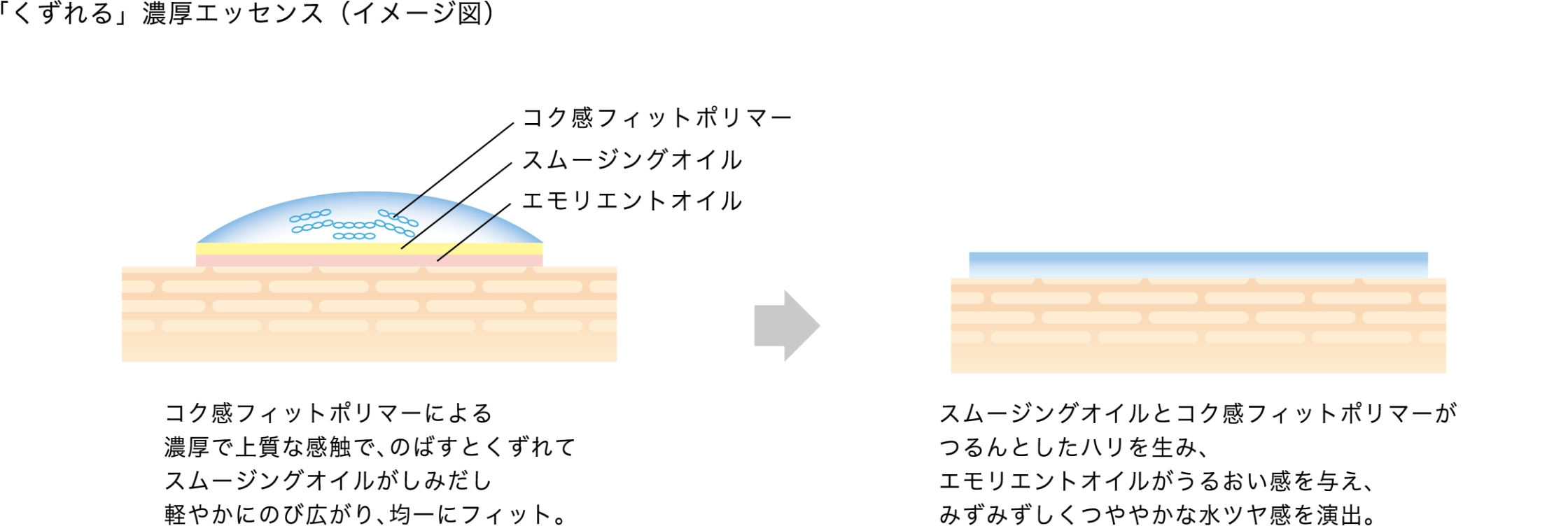 「くずれる」 濃厚エッセンス (イメージ図) コク感フィットポリマーによる 濃厚で上質な感触で、のばすとくずれて スムージングオイルがしみだし 軽やかにのび広がり、 均一にフィット。 スムージングオイルとコク感フィットポリマーが つるんとしたハリを生み、 エモリエントオイルがうるおい感を与え、 みずみずしくつややかな水ツヤ感を演出。