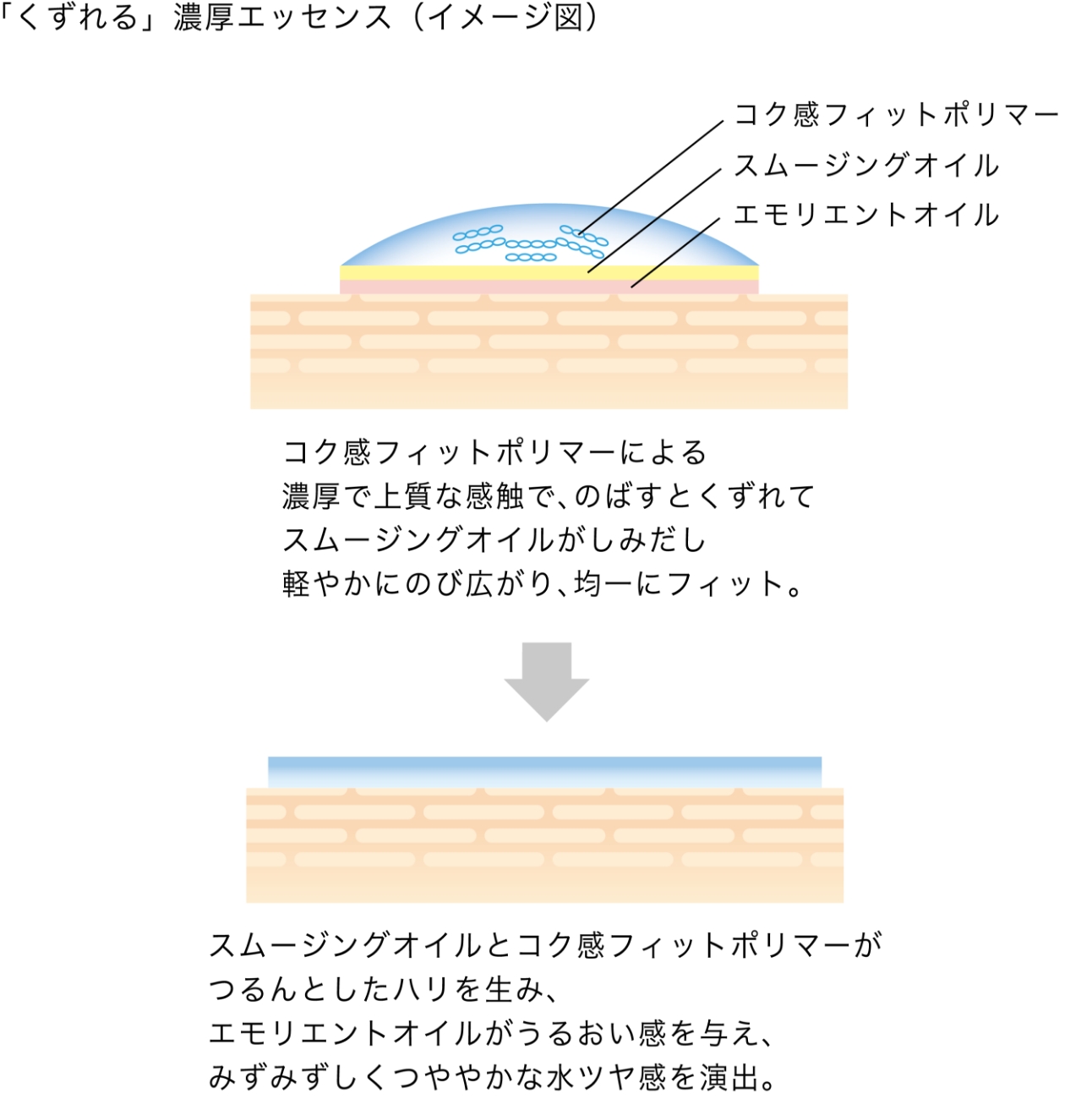 「くずれる」 濃厚エッセンス (イメージ図) コク感フィットポリマーによる 濃厚で上質な感触で、のばすとくずれて スムージングオイルがしみだし 軽やかにのび広がり、 均一にフィット。 スムージングオイルとコク感フィットポリマーが つるんとしたハリを生み、 エモリエントオイルがうるおい感を与え、 みずみずしくつややかな水ツヤ感を演出。