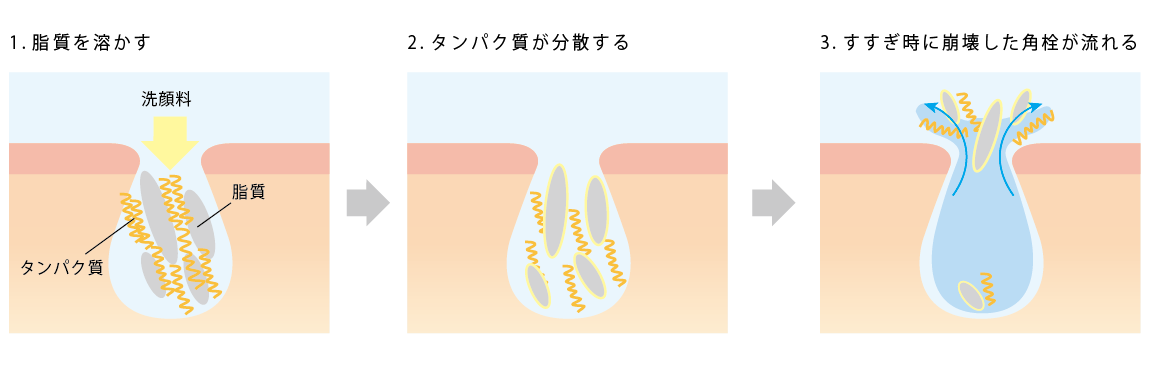 1. 脂質を溶かす 2. タンパク質が分散する 3. すすぎ時に崩壊した角栓が流れる