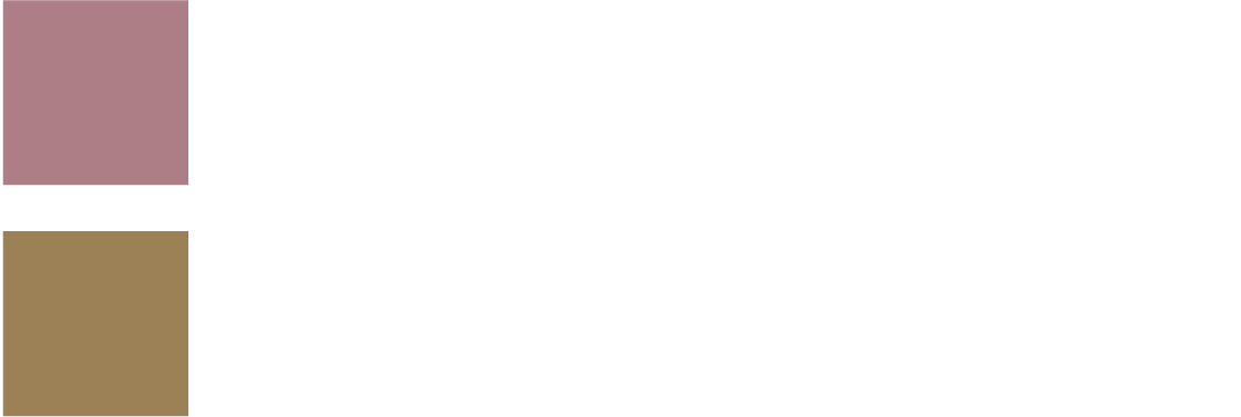 EX02 Dry Dahlia EX03 Pampas Grass