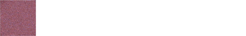 EX07 Ruby Cattleya