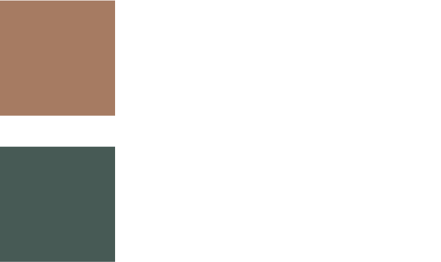 EX04 Leather Camel ブラウンニュアンスを秘めたオレンジが 目もとにやわらかな印象を与える レザーキャメル EX05 Woody Leaf 落ち着いたスモーキーグリーンが クールなまなざしを演出する ウッディリーフ