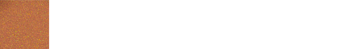 EX08 Dazzling Gem 天然石のような深みのある輝きが目もとの印象を際立てるダズリングジェム
