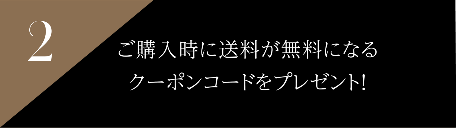 2 ご購入時に送料が無料になるクーポンコードをプレゼント!