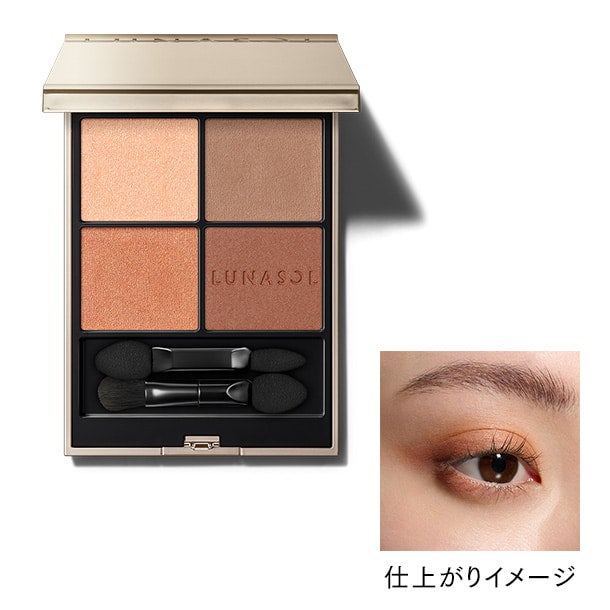 アイカラーレーションN 01