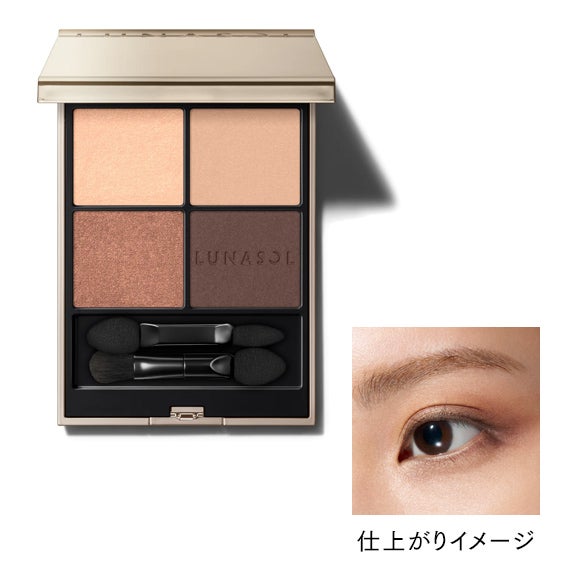 アイカラーレーションN 17