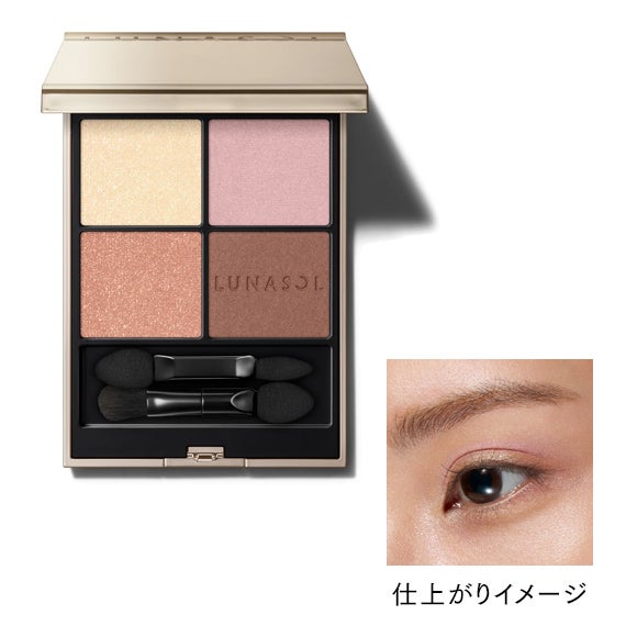 アイカラーレーションN 19